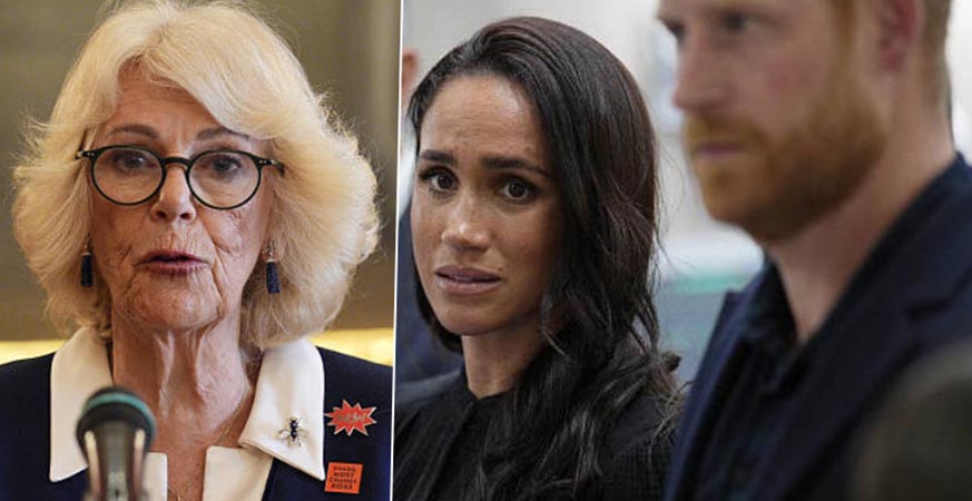 Queen Camilla, meghan and harry